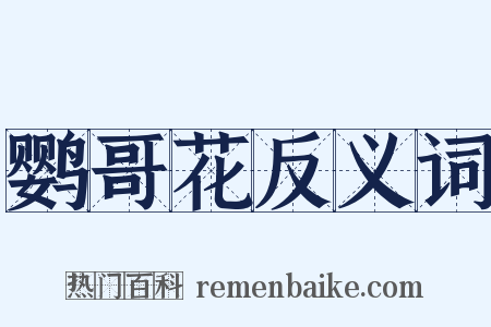 鹦哥花反义词是什么意思的图片